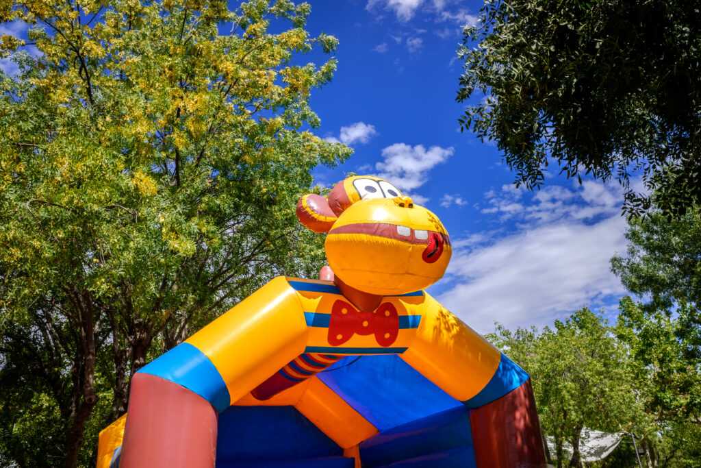 Alquiler de Castillos Inflables: La Diversión Garantizada para Fiestas Infantiles